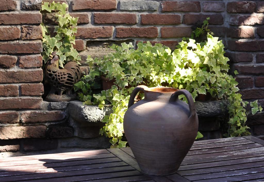 B&B Edera Castagnole Piemonte Bagian luar foto